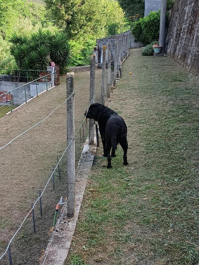 Da Ange E Bru Βίλα Σέστρι Λεβάντε Εξωτερικό φωτογραφία