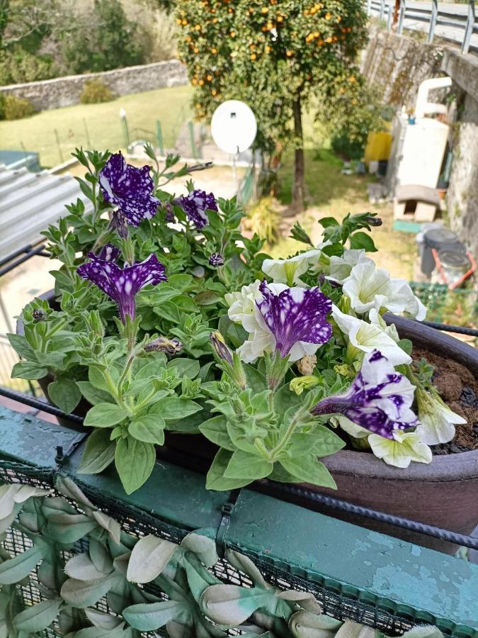 Da Ange E Bru Βίλα Σέστρι Λεβάντε Εξωτερικό φωτογραφία